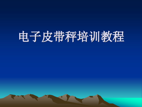 AD型电子秤系统教学幻灯片PPT课件