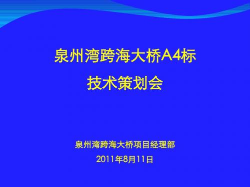 泉州湾跨海大桥技术策划书