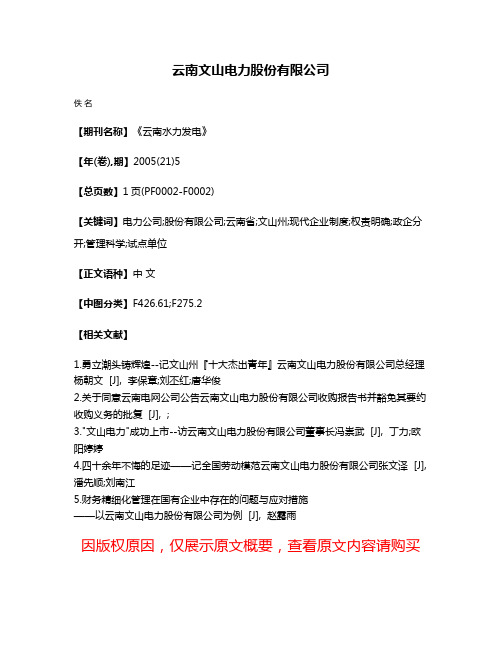 云南文山电力股份有限公司