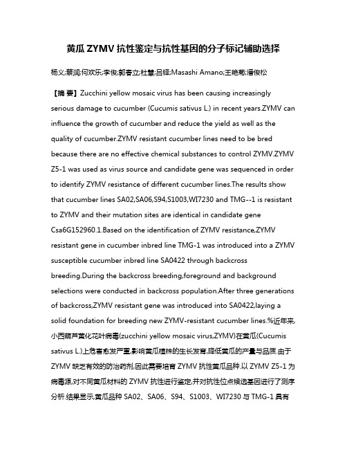 黄瓜ZYMV抗性鉴定与抗性基因的分子标记辅助选择