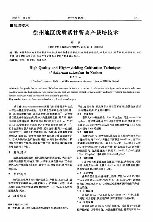 徐州地区优质紫甘薯高产栽培技术