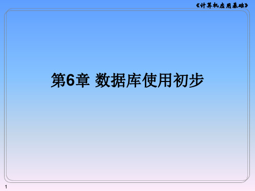 计算机应用基础  第6章 数据库使用初步