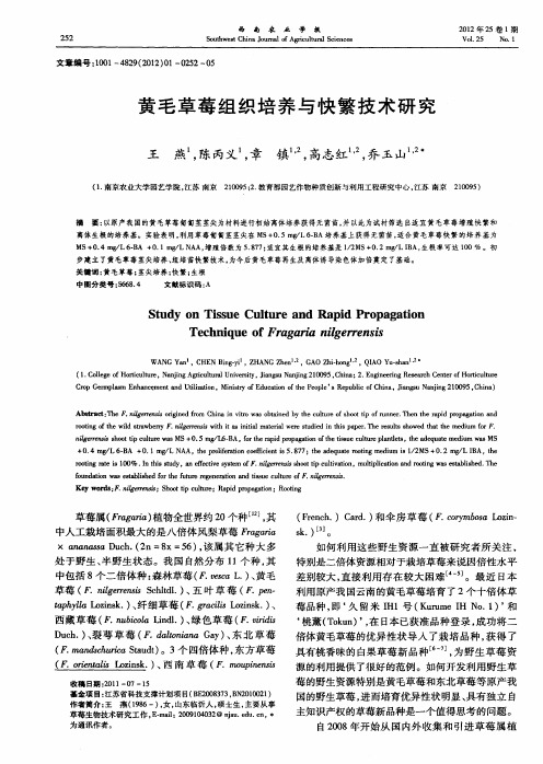 黄毛草莓组织培养与快繁技术研究