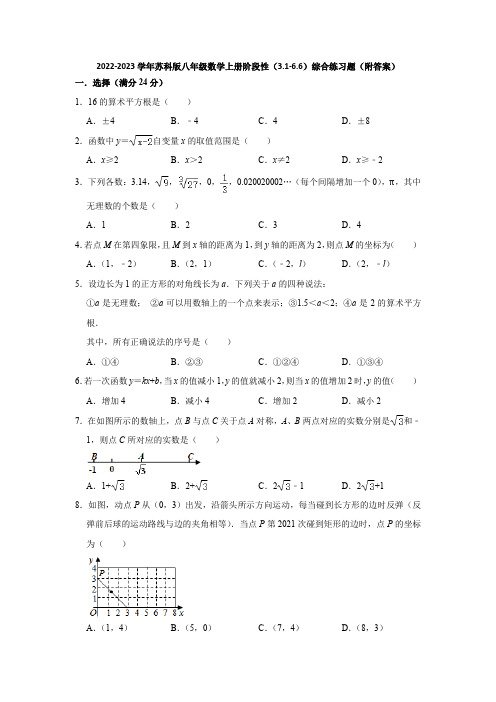 2022-2023学年苏科版八年级数学上册阶段性(3-1-6-6)综合练习题(附答案)