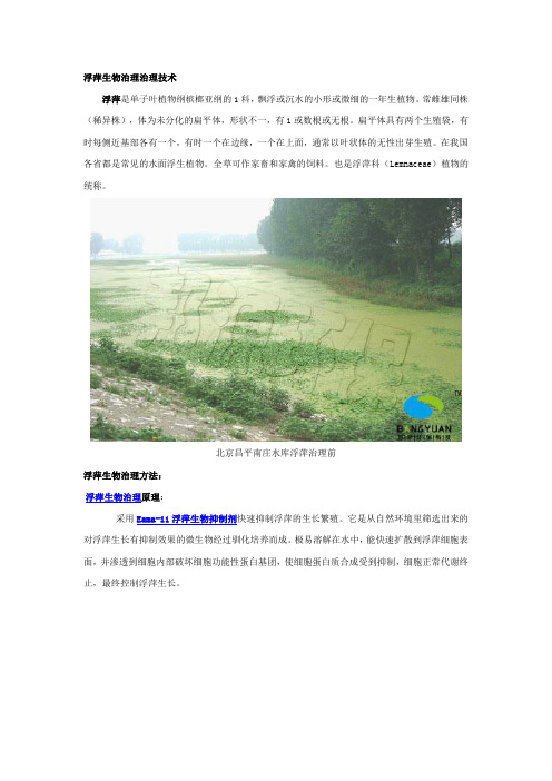 浮萍生物治理技术