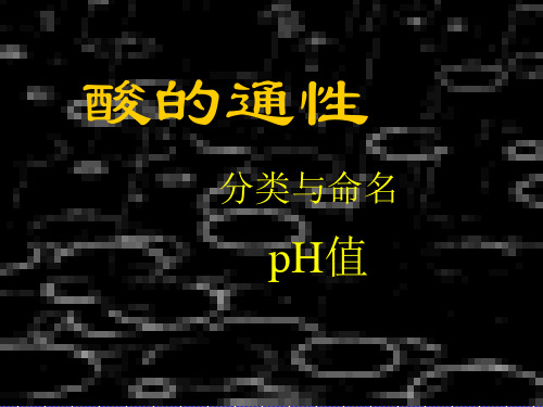 酸的通性精选教学PPT课件