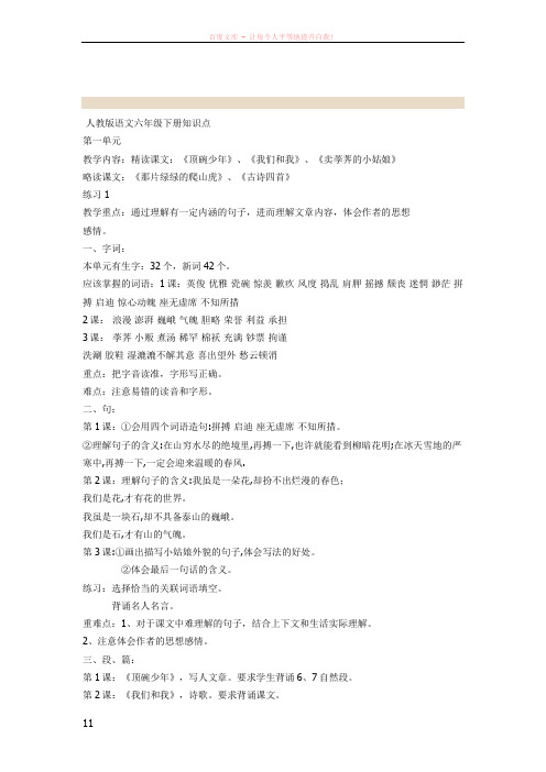 人教版语文六年级下册知识点