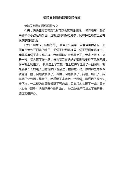 惊险又刺激的网绳探险作文
