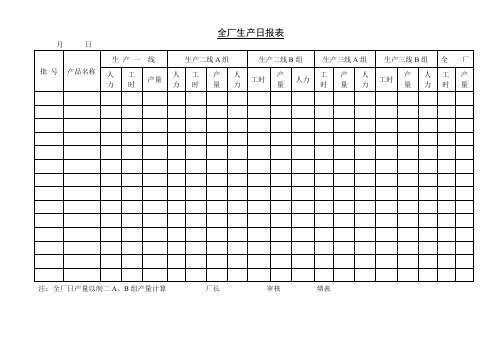 全厂生产日报表