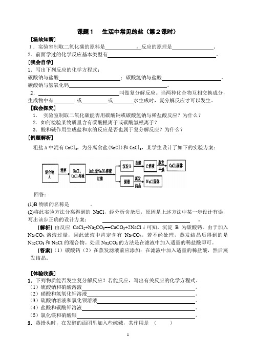 人教九年级化学导学案生活中常见的盐二