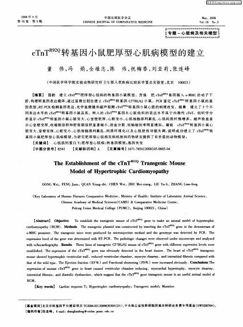 cTnT R92Q转基因小鼠肥厚型心肌病模型的建立