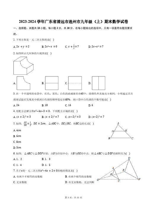 2023-2024学年广东省清远市连州市九年级(上)期末数学试卷(含答案)