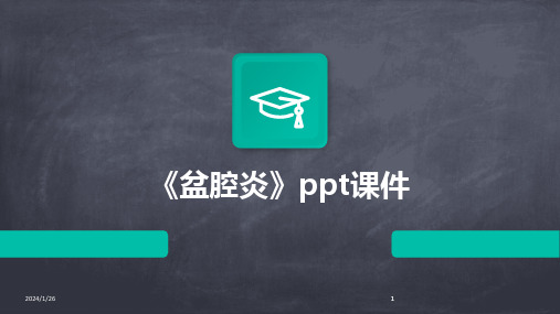 2024版《盆腔炎》ppt课件