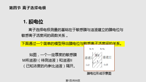 离子选择电极PPT课件