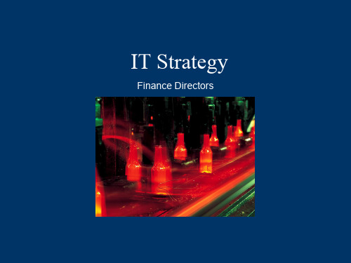 公司IT应用策略(IT Strategy)