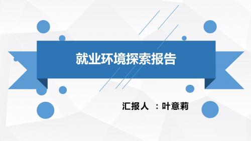 就业环境探索报告