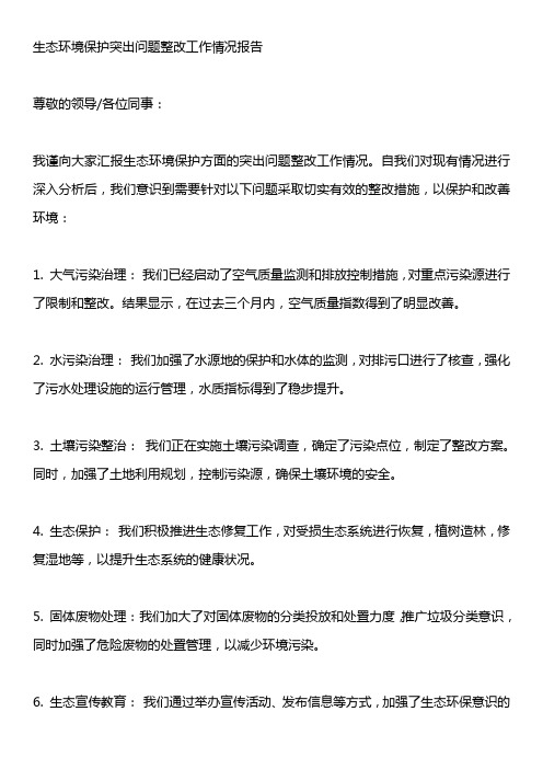 生态环境保护突出问题整改工作情况报告