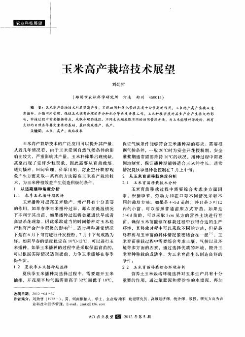 玉米高产栽培技术展望