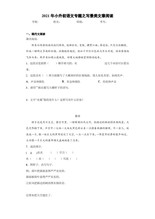 2021年小升初语文专题之写景类文章阅读