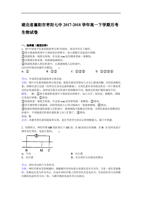 湖北省襄阳市枣阳七中2017-2018学年高一下学期10月月考生物试卷 Word版含解析