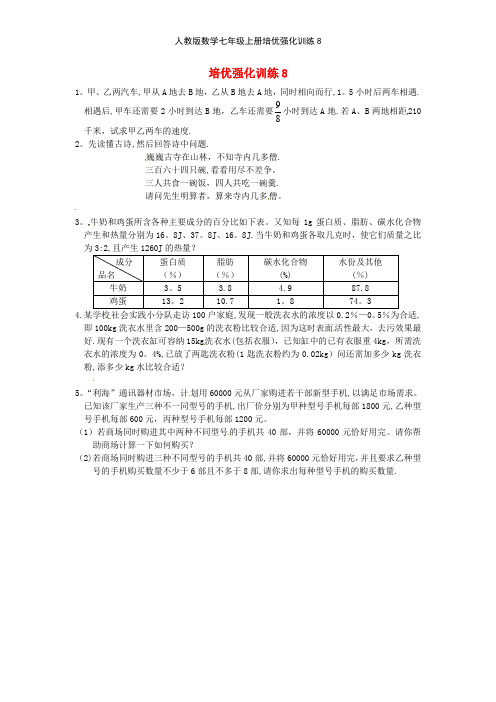 人教版数学七年级上册培优强化训练8