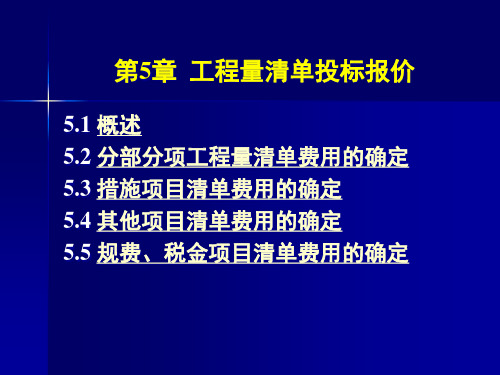 工程量清单投标报价文件