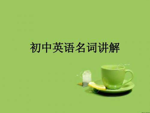 初中英语名词讲解