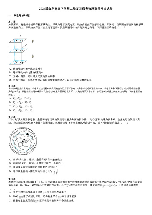 2024届山东高三下学期二轮复习联考物理高频考点试卷