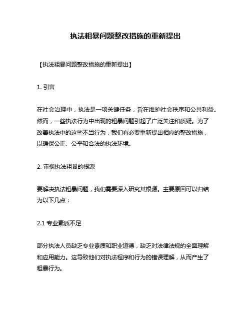 执法粗暴问题整改措施的重新提出