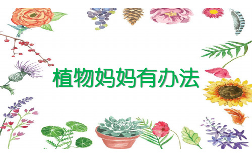 《植物妈妈有办法》ppt优秀课件部编版小学语文1