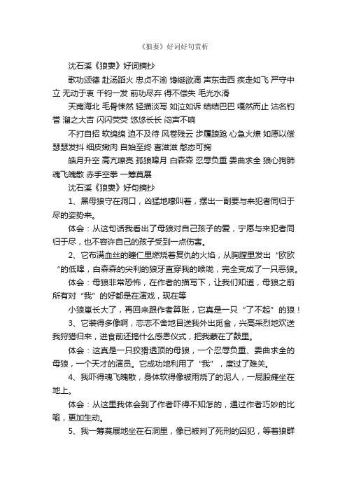 《狼妻》好词好句赏析