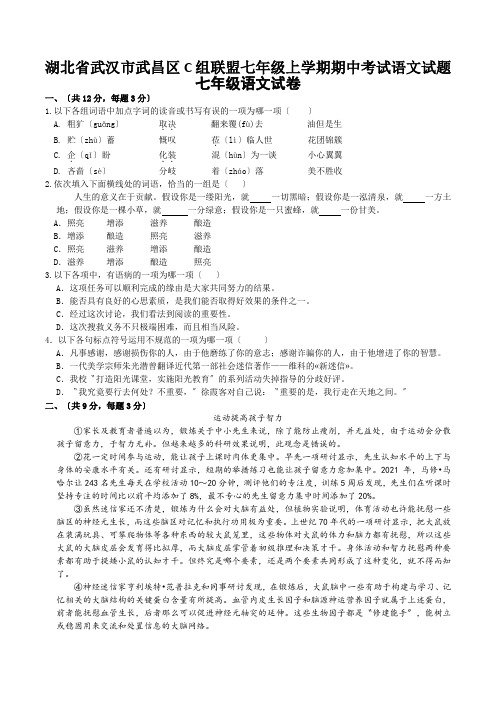 湖北省武汉市武昌区C组联盟七年级上学期期中考试语文试题