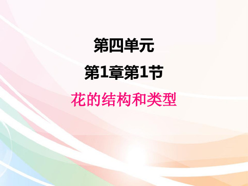 济南版生物八年级上册 .1花的结构和类型 课件