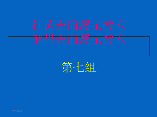 细菌与酵母表面展示技术教学材料