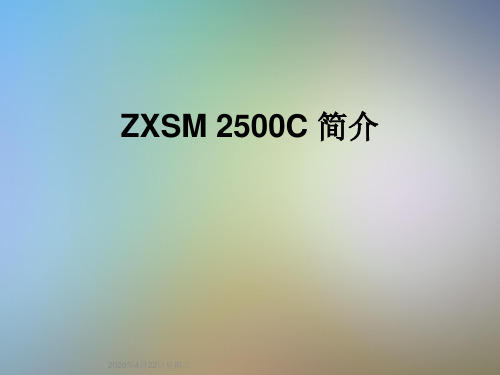 ZXSM 2500C 简介