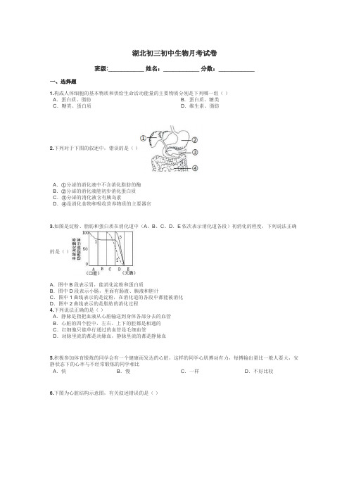 湖北初三初中生物月考试卷带答案解析
