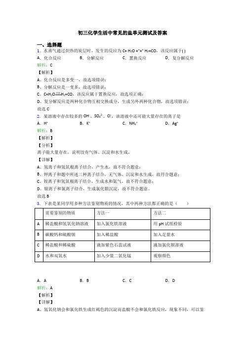 初三化学生活中常见的盐单元测试及答案