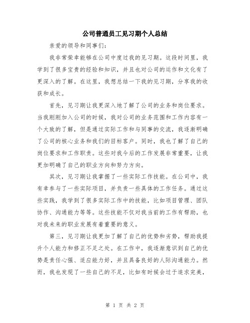 公司普通员工见习期个人总结