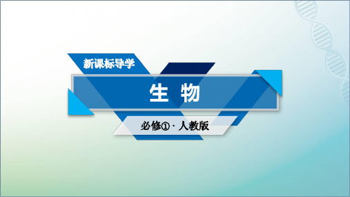 生物人教版必修一课件：本章整合5细胞的能量供应和利用