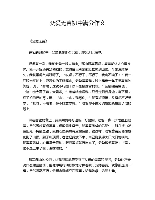 父爱无言初中满分作文