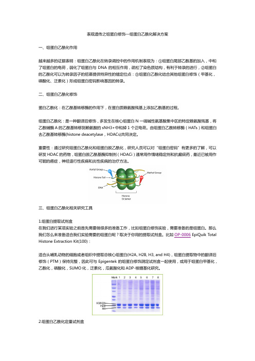 表观遗传之组蛋白修饰—组蛋白乙酰化解决方案