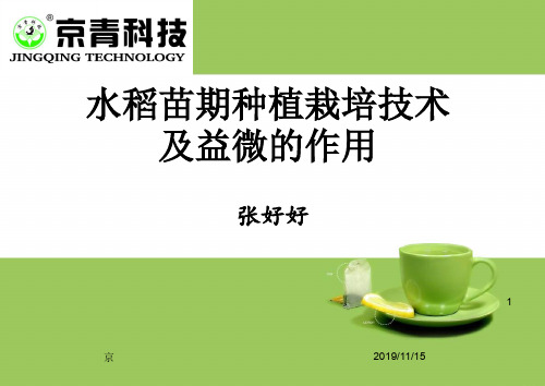 黑龙江省水稻种植栽培技术PPT演示课件