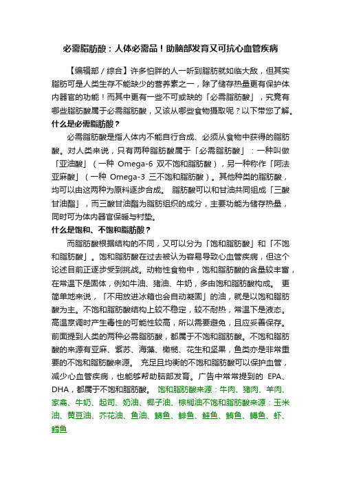 必需脂肪酸：人体必需品！助脑部发育又可抗心血管疾病