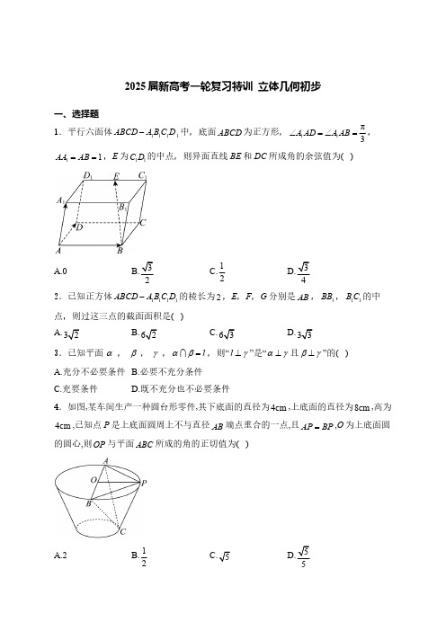 2025届新高考一轮复习特训---立体几何初步(含解析)