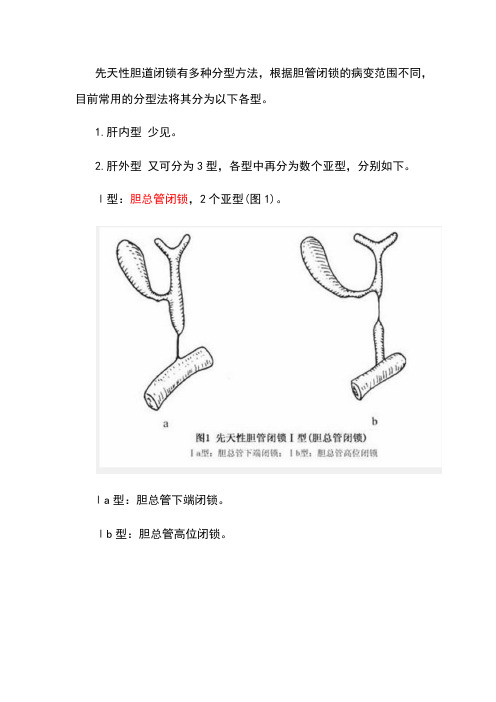 胆道闭锁