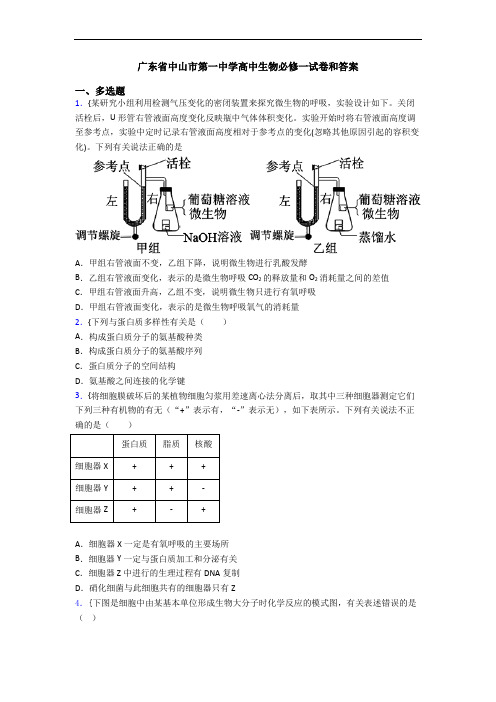 广东省中山市第一中学高中生物必修一试卷和答案