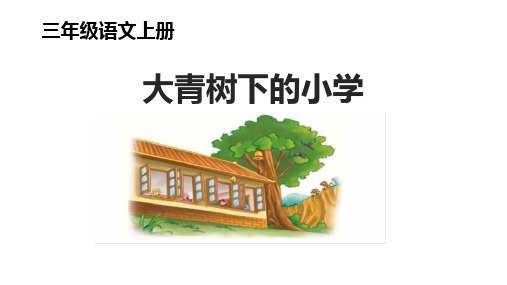 《大青树下的小学》ppt课件