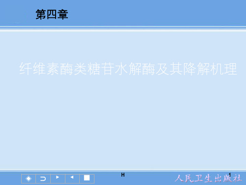 纤维素酶类糖苷水解酶及其降解机理ppt课件