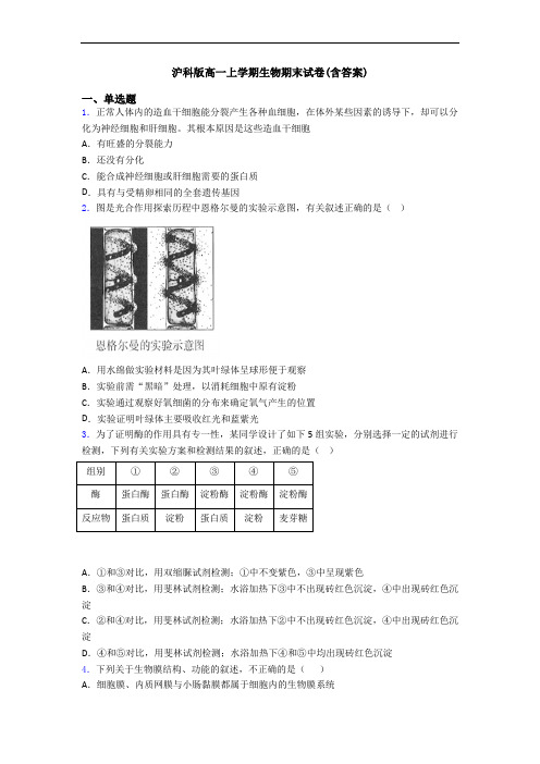 沪科版高一上学期生物期末试卷(含答案)