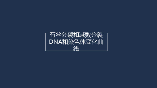 有丝分裂、减数分裂DNA和染色体变化曲线